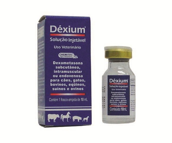 Dexium Injetável Frasco ampola de vidro contendo 10 mL