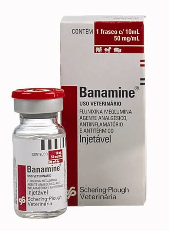 Banamine Injetável  Frasco 10 ml