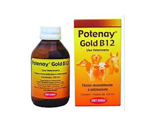 Potenay Gold B12 Frasco de vidro contendo 120 mL