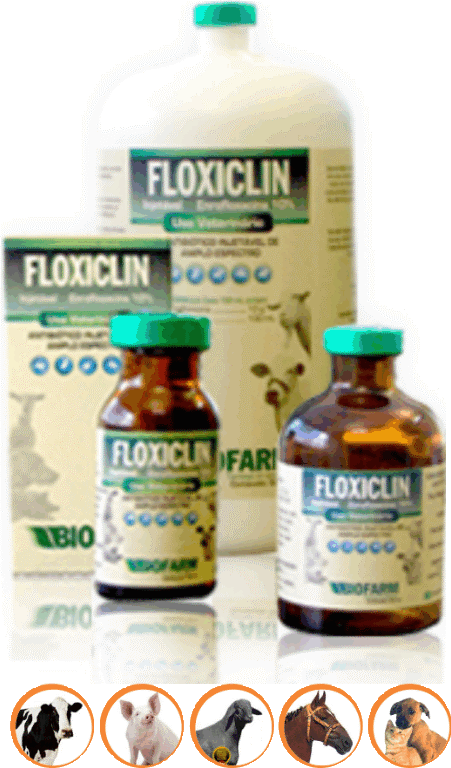 Floxiclin Frasco 10 ml