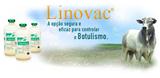 Linovac Frasco 100 ml