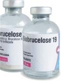 Biobrucelose®19 Frasco 20 ml