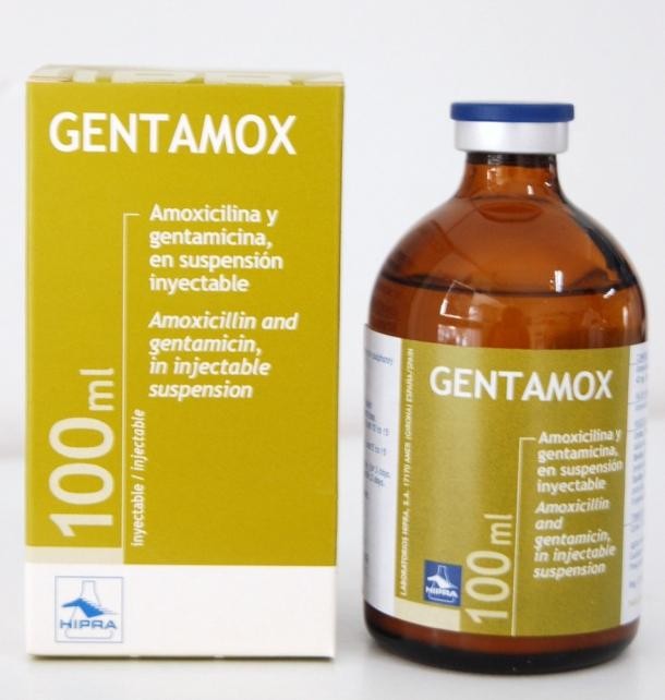 Gentamox Frasco 100 ml