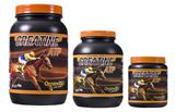 Creatine ATP Pote 2 kg