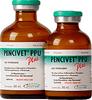  Pencivet Plus PPU