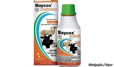 Baycox Ruminantes Frasco 1 litro