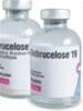 Biobrucelose®19
