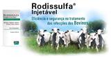 Rodissulfa Injetável Frasco 100 ml