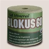 Blokus 60 
