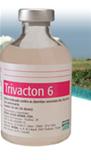 Trivacton 6 Frasco 50 ml