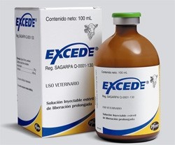 Exece CCFA 200 mg Frasco 100 ml