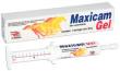 Maxicam Gel Seringa 30 g