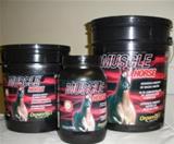 Muscle Horse Saco 15 kg