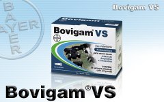 Bovigan VS Seringa 4,5g