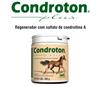 Condroton Plus