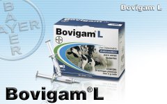 Bovigan L Seringa 5g