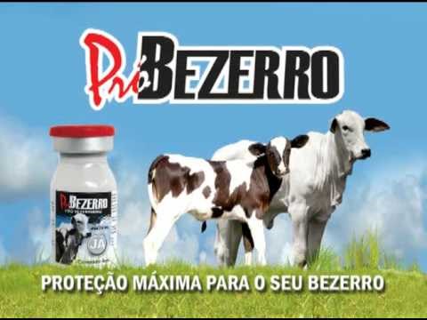 Pró-bezerro 1, 10 doses