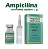 Ampicilina Veterinaria 