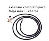 Extensor 