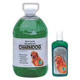 Charmdog 