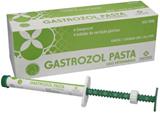 Gastrozol Pasta Seringa 7,5 g