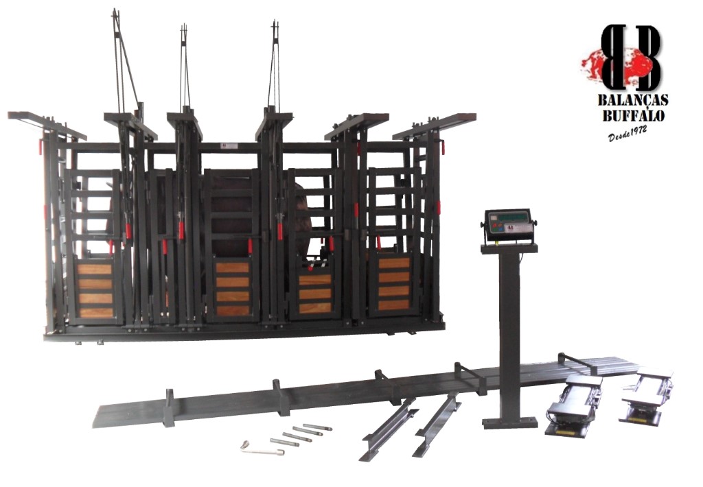 Balança Tronco Eletrônica - Modelo T3 