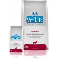 RAÇÃO VET LIFE INTESTINAL - 10,1 KG 