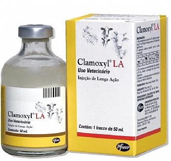 CLAMOXYL LA (AMOXICILINA) Frasco - 50ml