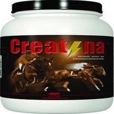 CREATINA VETNIL - 2kg 