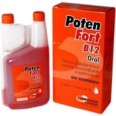 POTENFORT B12 ORAL Frasco - 120ml