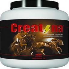 CREATINA VETNIL - 1kg 