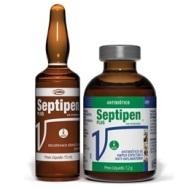 SEPTIPEN PLUS Frasco - 15ml