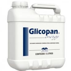 GLICOPAN ENERGY - 5Lt 