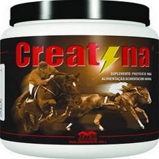 CREATINA VETNIL - 500gr 
