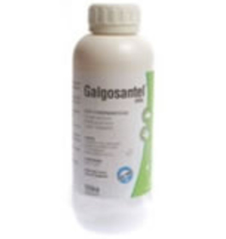 GALGOSANTEL ORAL (CLOSANTEL)  Frasco - 250ml