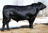 EG Frontier 678 of 107 