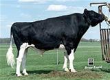 ROYLANE JORDAN-ET *TV EX-95 