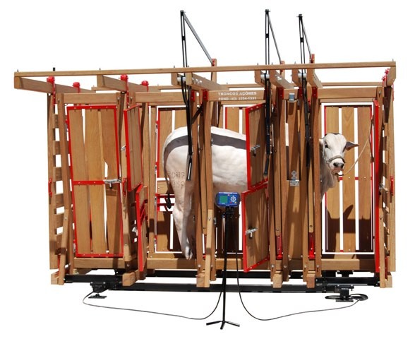  TRONCO MASTER III UNIDADE