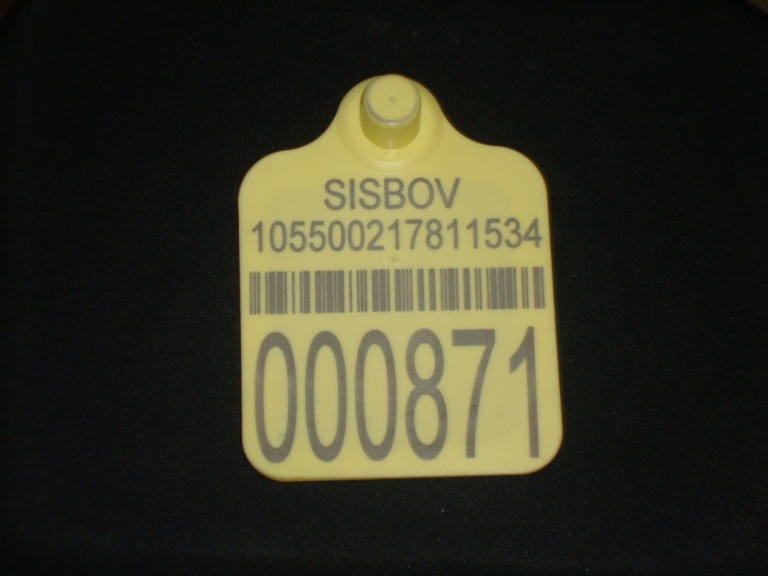 BRINCO ELETRONICO DE ALTA FREQUENCIA UHF UNIDADE