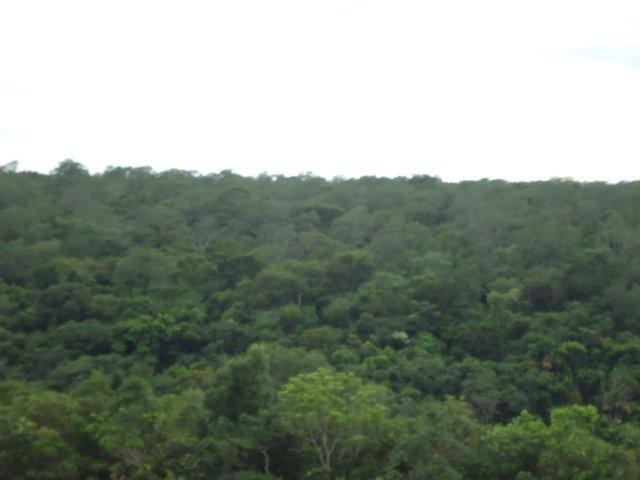 Fazenda de 750 Ha a venda em Figueirão - MS 