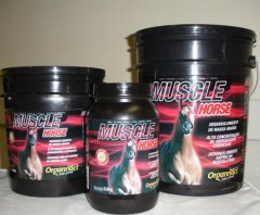 Muscle Horse Pote 2 kg