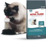 Intense Hairball 34 Embalagens 400g e 2Kg