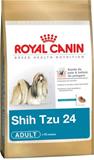 Shih Tzu Adult 24 