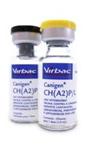 Canigen CH(A2) P/ L 