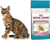 BEAUTY & FIT 37 Embalagens de: 400g, 2 Kg e 7,5Kg