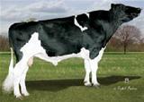 Kellercrest LANGDON-ET 