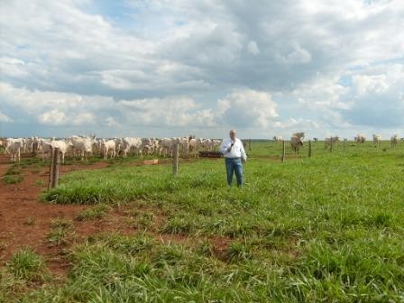 Fazenda a venda em São Gabriel do Oeste/MS Lavoura 