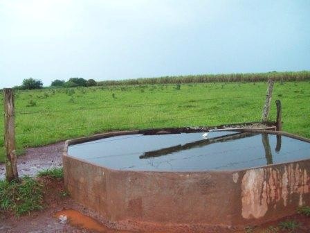 Fazendas a venda Rio Verde /MS para Lavoura e Pecuária. 
