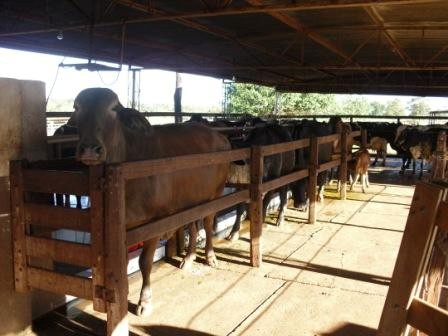 FAZENDA A VENDA EM MINAS GERAIS NA BEIRA DO ASFALTO 
