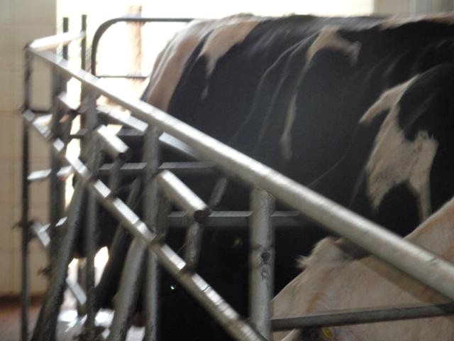 Fazenda a venda em Campo Grande/MS 